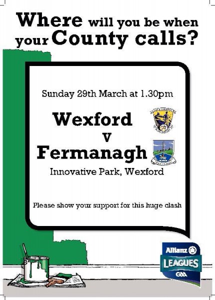 Wexford v Fermanagh this Sunday at 1.30pm