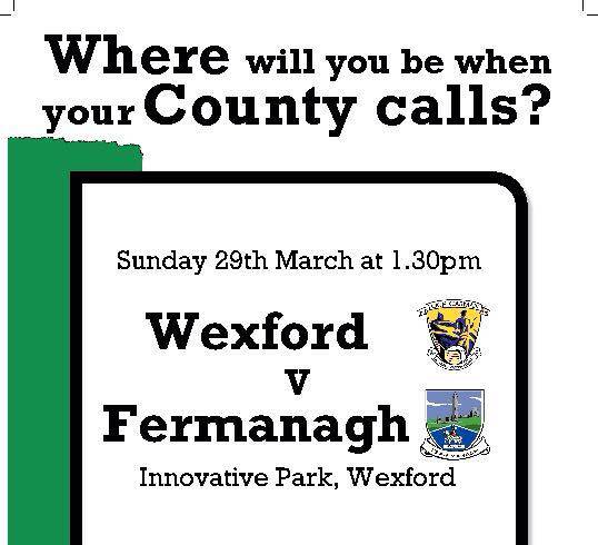 Wexford v Fermanagh this Sunday at 1.30pm