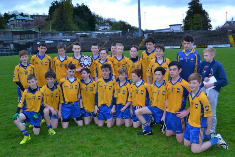 2015 Feile na nOg Final Report