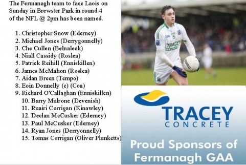 Fermanagh TEAM v Laois