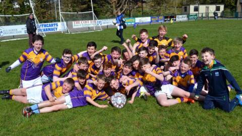 Well done Derrygonnelly Harps