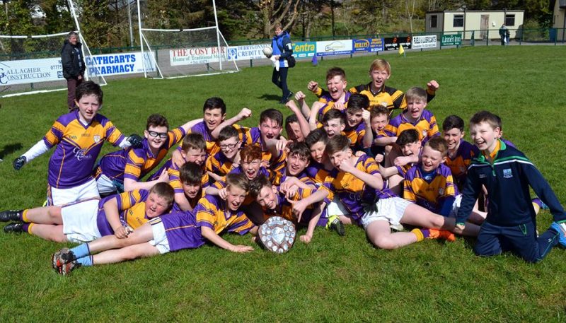 Well done Derrygonnelly Harps