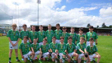 Fermanagh Primary Schools side played Donegal at Half Time last week