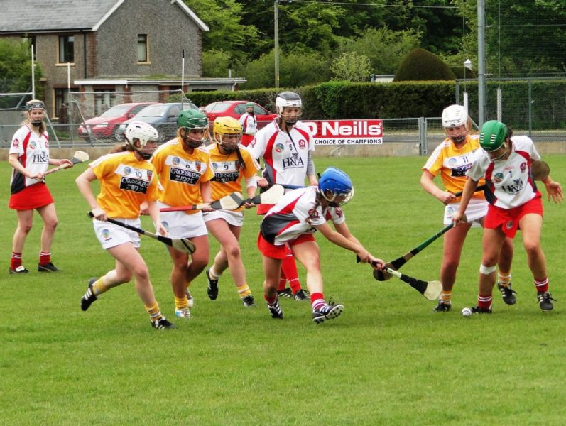 Camogie curtain raiser for Fermanagh