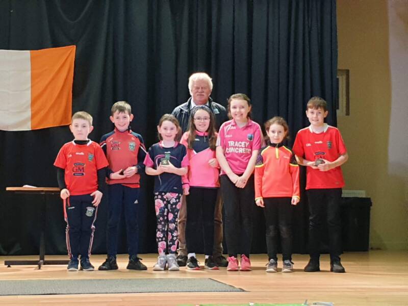 Scor na nOg winners